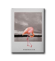 Flamingo Canvas Tablo MİND477