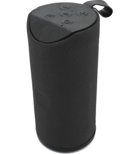 TT V-113 Kablosuz Bluetooht Hoparlör FM/ TF Kart/ USB/ Aux