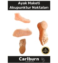 Özel Üretim Kaliteli İnsan Anatomisine Uyumlu Muayene Maket 20Cm Ayak Maketi Akupunktur Noktası