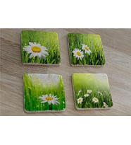 Papatyalar Doğal Taş Bardak Altlığı 4'lü set - Natural Stone Coasters
