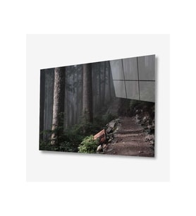 Doğa Cam Tablo 4mm Dayanıklı Temperli Cam (Çok Renkli)
