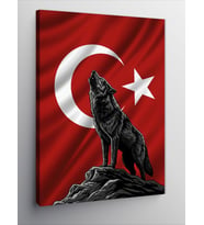 Kanvas Tablo Kurt Ve Türk Bayrağı