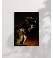 İki Köpek Portresi (Çok Renkli)