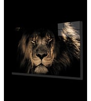 Aslan 19 Hayvan Cam Tablo