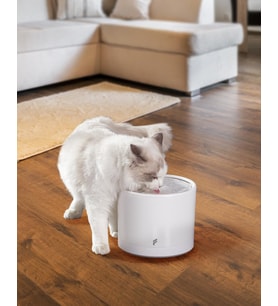 Kedi Köpek Akıllı Otomatik Su Kabı, 2 Litre, Evcil Hayvan Su Pınarı, Uzaktan, Sesli Kontrol