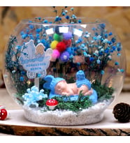 Hoşgeldin Bebek Erkek Teraryum