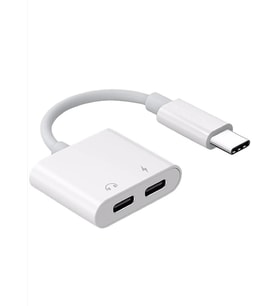 ZR293 Ftac42 Type-C 2 İn 1 Converter Adaptör