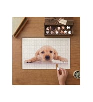 Küçük Köpek Golden Yavrusu Tasarımı 240 parça Ahşap Puzzle Ahşap Kutuda MP02448