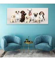 Sevimli Köpekler Cam Tablo