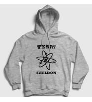 Presmono Unisex Gri Team Sheldon The Big Bang Theory Kapüşonlu Sweatshirt 181811tt (Gri)