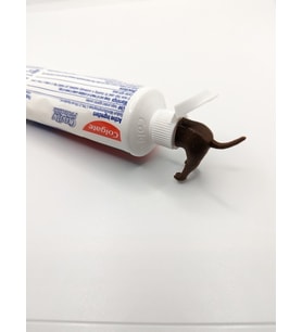 Köpek Poposu Diş Macunu Sıkacağı Kafası