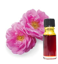 Pembe Gül Yağı Absolite Distile  Natürel Koku 1ml Meridyendukkan