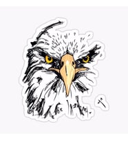 Araba için Kartal Oto Sticker Yapıştırması Etiket  17CM w3