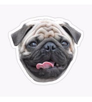 Pug Irkı Cinsi Köpek Sticker Araba Oto Yapıştırması 17CM Z8