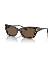 JIMMY CHOO  5011U 500273 55-17 Kadın  Güneş Gözlüğü