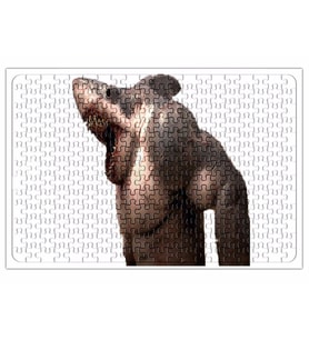 Shark Puzzle 240 Parça Yapboz