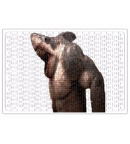 Shark Puzzle 240 Parça Yapboz