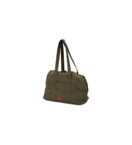 Beeztees DBL Köpek Taşıma Çantası, Yıkanabilir, 6,5Kgye kadar, Yeşil, 40x20x28cm
