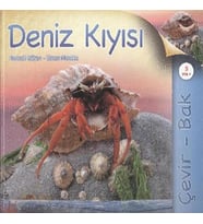 Çevir Bak Deniz Kıyısı