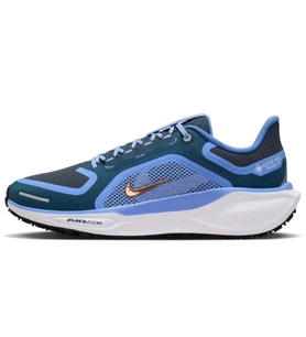 Nike Zoom Pegasus 41 Goretex Womens Running Shoes Su Geçirmez Nefes Alan Reflektörlü Kadın Yürüyüş Koşu Ayakkabısı Mavi