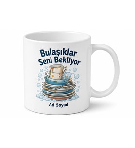 Öğrenci Ev Arkadaşına Ortak Bulaşık Temalı Komik Kupa Bardak Hediye