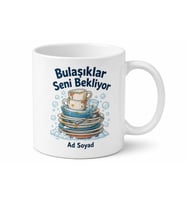 Öğrenci Ev Arkadaşına Ortak Bulaşık Temalı Komik Kupa Bardak Hediye