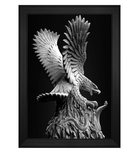 Hayvanlar Temalı Kanvas Tablo 80 x 110 cm Siyah Çerçeve