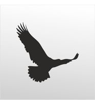 Folyo Sticker Kartal 130cm Uzunluk