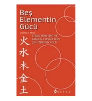 Beş Elementin Gücü