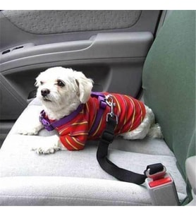 Araç Araba Köpek Kedi Emniyet Kemeri Tasması Oto Aksesuarı Evcil Hayvan Sabitleme Bağlantı Aparatı (Siyah)