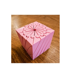Alvera Twisting Küp – 3D Baskı Mekanik Dönen Bulmaca Küpü-Pembe