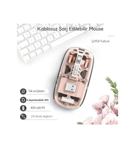 Pembe 501 Bt+ Wireless Mouse ZR1133