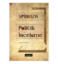 Politik İnceleme