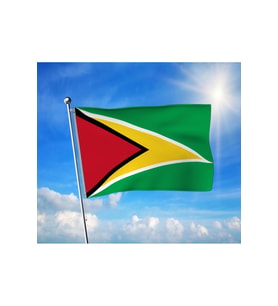 Guyana Devleti bayrağı Premium Raşel Kumaş 100x150 cm