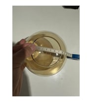 15 cm Bal Glop Fanus Avize Camı, şık ve parlak dekoratif cam parçası