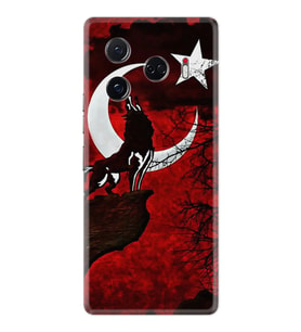 Tecno Camon 30 Pro 5G Kılıf HD Baskılı / TYXQ-S/X//143 1381