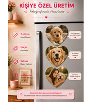3 Kalpli Evcil Hayvan Magneti Kişiselleştirilebilir Patili Dost Hatıra Fotoğraf Hediyesi