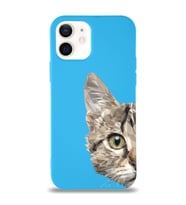 Apple iPhone 12 Mini Uyumlu Lansman Kılıf Catface Tasarımlı İçi Kadife Kapak-Mavi (Şeffaf)
