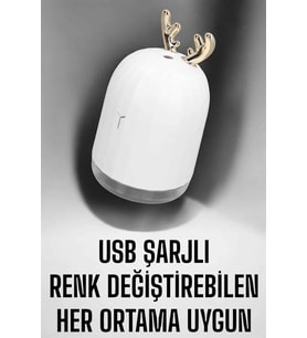 Aromaterapi Hava Temizleyici Buhar Makinesi Taşınabilir Şarjlı