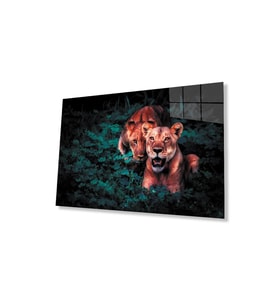 Aslan Cam Tablo 4mm Dayanıklı Temperli Cam (Çok Renkli)