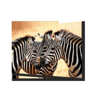  Zebra Hayvan Cam Tablo 4mm Dayanıklı Temperli Cam