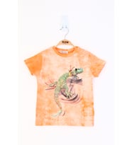 Toontoy Erkek Çocuk Batik Desenli Kertenkele Baskılı Tişört (Turuncu)