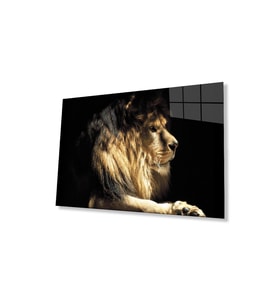 Aslan Cam Tablo 4mm Dayanıklı Temperli Cam (Çok Renkli)