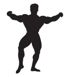 BODY GYM FOLYO STİCKER 30cm Uzunluk (Karışık)