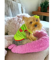 Pink Strawberry Atlet Köpek Kıyafeti  Köpek Elbisesi (Çok Renkli)