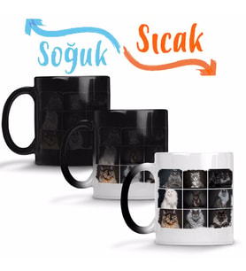 Cats Collection one Sihirli Kupa Bardak Porselen