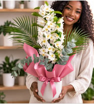 Beyaz Saksıda Buket Kağıtlı Tasarım Dendrobium