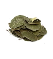 Avokado Yaprağı 25 G