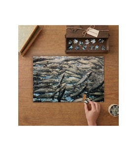 Balık Sürüsü Tasarımı 240 parça Ahşap Puzzle Ahşap Kutuda MP03582