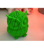 3D Baskı Hareketli Baykuş Figürü - Eklemli Flexi Oyuncak - Yeşil